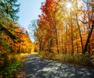 5 Wellness Tips to Transition from Summer to Fall Thumbnail
